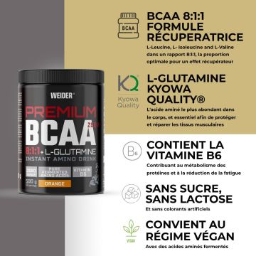 Premium BCAA 8:1:1 + L-Glutamine - Pot de 500 Gr