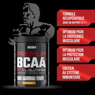 Premium BCAA 8:1:1 + L-Glutamine - Pot de 500 Gr