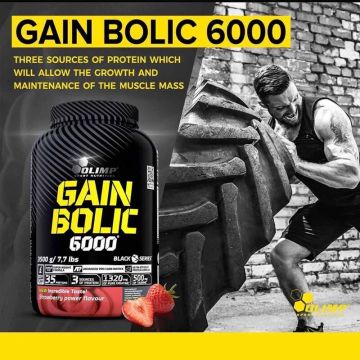 Gain Bolic 6000 - Pot de 3,5 Kg