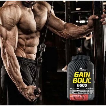 Gain Bolic 6000 - Pot de 3,5 Kg