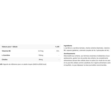 L-Carnitine 750 - 100 Gélules