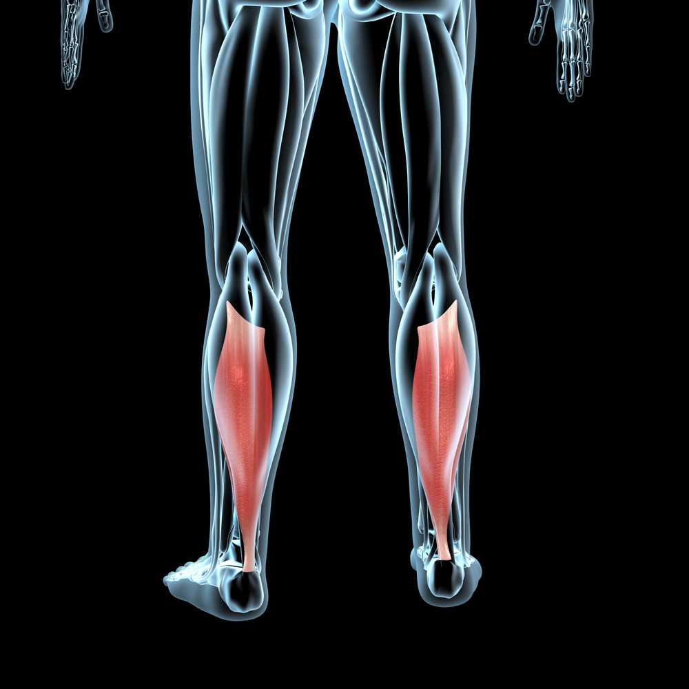 Muscle sol aire anatomie pathologie et soin